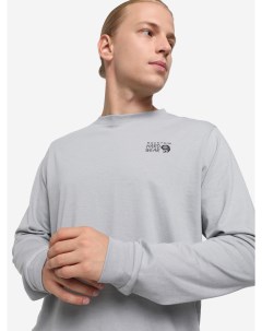 Лонгслив мужской Back Logo Long Sleeve, Серый Mountain hardwear