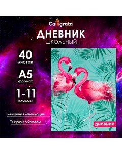 Дневник универсальный для 1-11 классов Calligrata