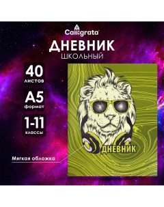 Дневник в мягкой обложке, для 1-11 классов, 40 листов Calligrata