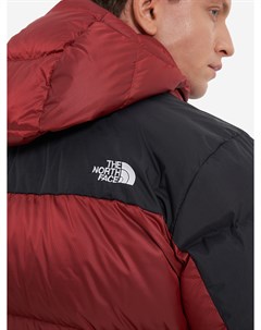 Пуховик мужской Diablo, Красный The north face