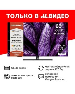 Телевизор Grundig 65 OLED GH 9700