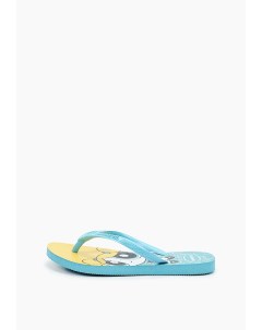 Сланцы Havaianas