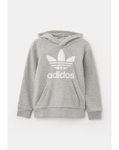 Худи Adidas originals