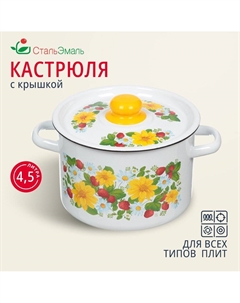 Кастрюля эмалированная сталь, 4.5 л, с крышкой, крышка сталь,, 1с17с, индукция Стальэмаль