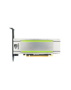 Видеокарта Tesla T4 16GB Low Profile Nvidia