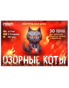 Игра настольная 4660254410763 Умные игры