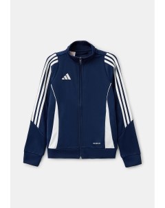 Олимпийка Adidas