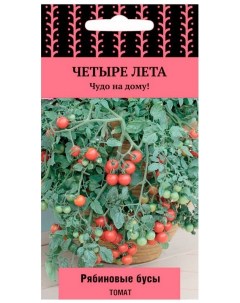 Семена Томата ПОИСК Четыре лета Рябиновые бусы 5 шт Агрофирма поиск