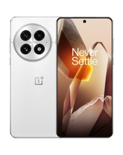 Смартфон OnePlus 13 24/1Tb White Oneplus