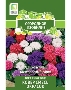 Семена Астра низкорослая Ковер смесь окрасок 0,3 гр Агрофирма поиск