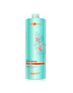 Hair Company Light Bio Argan Шампунь для волос 250 мл Hair company professional