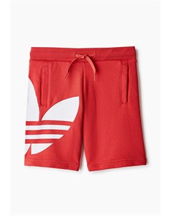 Шорты спортивные Adidas originals