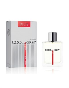 Туалетная вода Cool Grey Sport 100 мл Dilis parfum